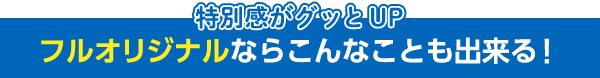 フルオリジナルならこんなことができる！