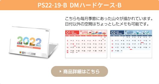 PS22-19-B  DMハードケース-B