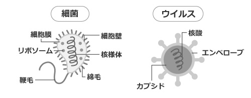 ウイルスと菌の違い