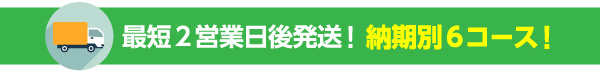 最短2営業日後発送！