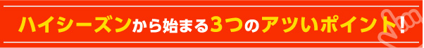 ハイシーズンから始まる3つの新登場！