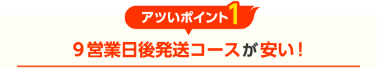 9営業日後発送コースが安い！