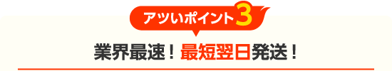 業界最速！最短2日後のお届け！