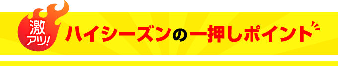 ハイシーズンの一押しポイント