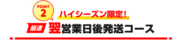 最短翌営業日後発送でお届けします