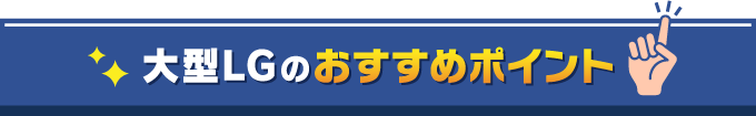 大型LGのおすすめポイント