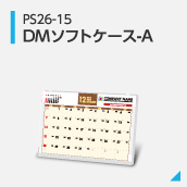 DMソフトケース-A