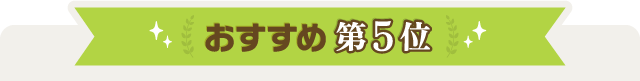 おすすめ第5位
