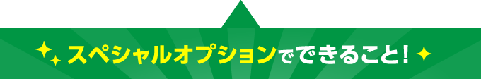 スペシャルオプションでできること