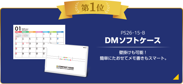第1位 DMソフトケース-B