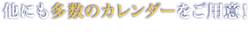 他にも多数のカレンダーをご用意！