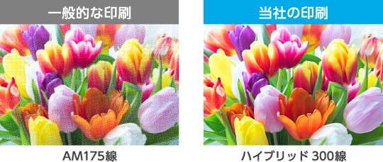 印刷の比較