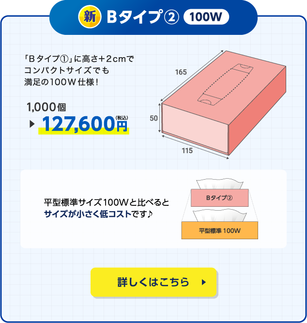 Bタイプ②100W